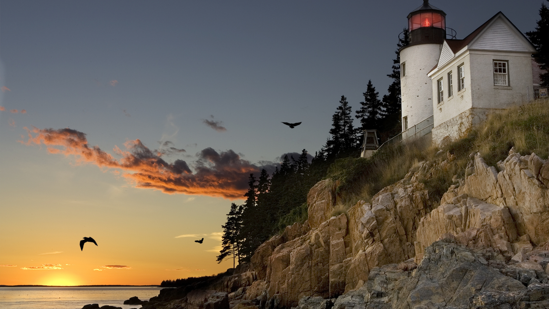 Maines Authentic Ventures Maines Coast